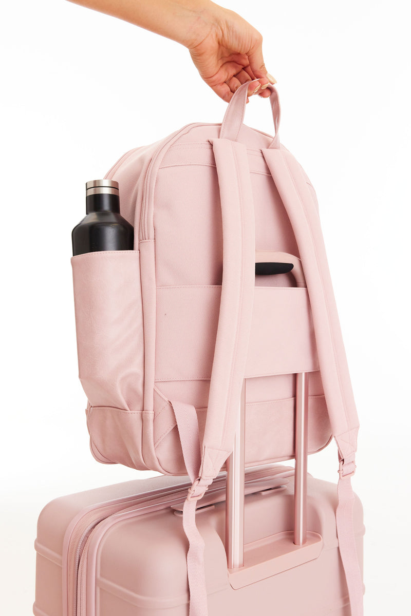 Resale The Backpack in Atlas Pink