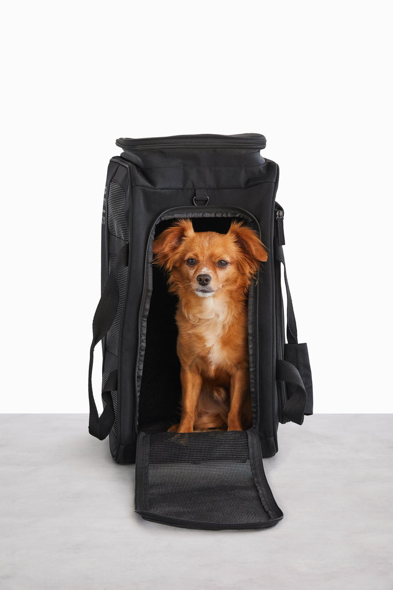 Resale The Regulation Pet Carry-on in Black